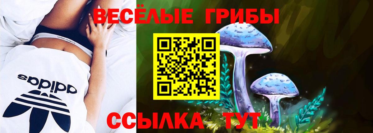 Псилоцибиновые грибы Psilocybe Аша